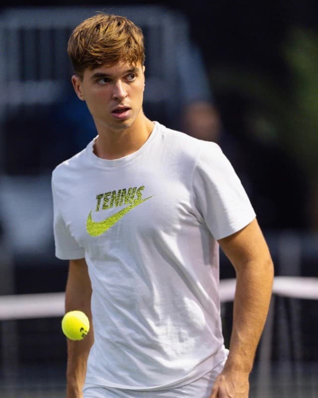 Dino Prizmic Predictions Dino Prizmic