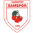 Samspor