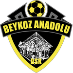 Beykoz Anadolu Spor A.Ş.