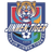Tianjin Jinmen Tiger