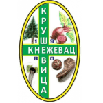 FK Kruševica 1980 Kneževac