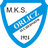 Orlicz Suchedniów