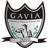 Gavia Choszczno