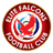 Elite Falcons FC
