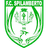 F.C. Spilamberto 96