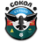 FC Sokol Seltso