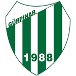 Gürpınarspor