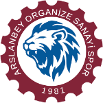 Arslanbey Organize Sanayi SK