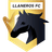 Llaneros FC