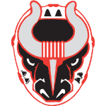Birmingham Bulls
