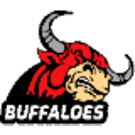 Toyota Buffaloes