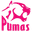 42704