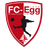 FC Egg