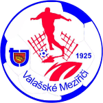 TJ Valašské Meziříčí