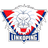 Linköping HC