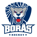 Borås HC