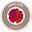 556336